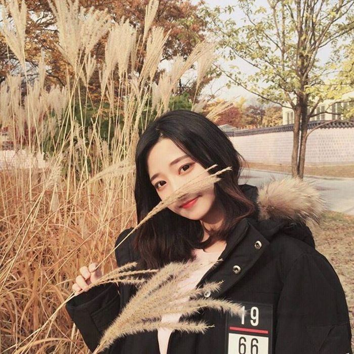 阿南敦子（饰 久保太太） - 独家综艺节目在线观看 - 电脑看电影